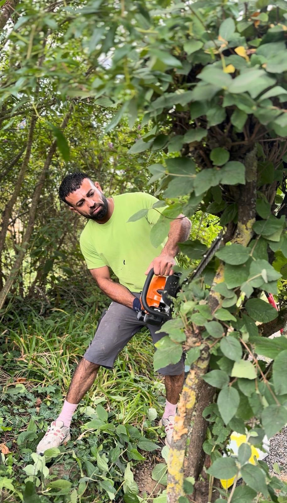 Mobirise Website Builder